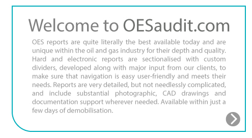 www.oesgroup.com